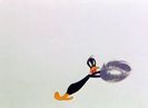 My Favorite Duck