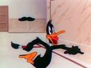 Daffy Doodles