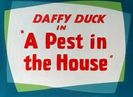 A Pest In The House