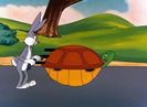 Rabbit Transit