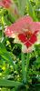 8f883d6b-5b46-48ba-b3ae-21fde013716d-1_all_169