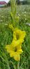 8f883d6b-5b46-48ba-b3ae-21fde013716d-1_all_234