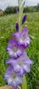 8f883d6b-5b46-48ba-b3ae-21fde013716d-1_all_235