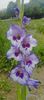 8f883d6b-5b46-48ba-b3ae-21fde013716d-1_all_255