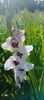 8f883d6b-5b46-48ba-b3ae-21fde013716d-1_all_328