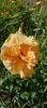 8f883d6b-5b46-48ba-b3ae-21fde013716d-1_all_292