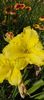 8f883d6b-5b46-48ba-b3ae-21fde013716d-1_all_293