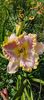 8f883d6b-5b46-48ba-b3ae-21fde013716d-1_all_295