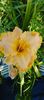 8f883d6b-5b46-48ba-b3ae-21fde013716d-1_all_299