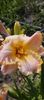 8f883d6b-5b46-48ba-b3ae-21fde013716d-1_all_369