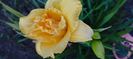 8f883d6b-5b46-48ba-b3ae-21fde013716d-1_all_389