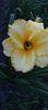 8f883d6b-5b46-48ba-b3ae-21fde013716d-1_all_387