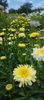 8f883d6b-5b46-48ba-b3ae-21fde013716d-1_all_337