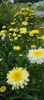 8f883d6b-5b46-48ba-b3ae-21fde013716d-1_all_338