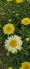 8f883d6b-5b46-48ba-b3ae-21fde013716d-1_all_341