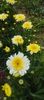 8f883d6b-5b46-48ba-b3ae-21fde013716d-1_all_340