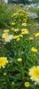 8f883d6b-5b46-48ba-b3ae-21fde013716d-1_all_339