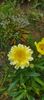8f883d6b-5b46-48ba-b3ae-21fde013716d-1_all_343