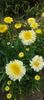 8f883d6b-5b46-48ba-b3ae-21fde013716d-1_all_345