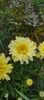 8f883d6b-5b46-48ba-b3ae-21fde013716d-1_all_347