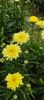 8f883d6b-5b46-48ba-b3ae-21fde013716d-1_all_351