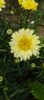8f883d6b-5b46-48ba-b3ae-21fde013716d-1_all_352