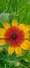 8f883d6b-5b46-48ba-b3ae-21fde013716d-1_all_461
