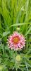 8f883d6b-5b46-48ba-b3ae-21fde013716d-1_all_459