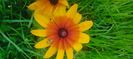 8f883d6b-5b46-48ba-b3ae-21fde013716d-1_all_462