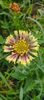 8f883d6b-5b46-48ba-b3ae-21fde013716d-1_all_463