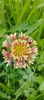8f883d6b-5b46-48ba-b3ae-21fde013716d-1_all_470