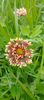 8f883d6b-5b46-48ba-b3ae-21fde013716d-1_all_473