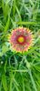 8f883d6b-5b46-48ba-b3ae-21fde013716d-1_all_476