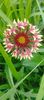 8f883d6b-5b46-48ba-b3ae-21fde013716d-1_all_475