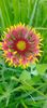 8f883d6b-5b46-48ba-b3ae-21fde013716d-1_all_474