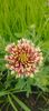 8f883d6b-5b46-48ba-b3ae-21fde013716d-1_all_467