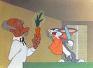 Super Rabbit