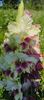 8f883d6b-5b46-48ba-b3ae-21fde013716d-1_all_158