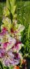 8f883d6b-5b46-48ba-b3ae-21fde013716d-1_all_156