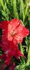 8f883d6b-5b46-48ba-b3ae-21fde013716d-1_all_164