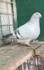 IMG-20250105-WA0011