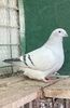 IMG-20250105-WA0000