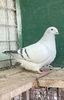 IMG-20250105-WA0001