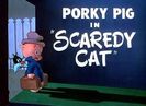Scaredy Cat