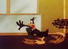 Riff Raffy Daffy
