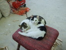 DSCF2064