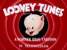 Trap Happy Porky