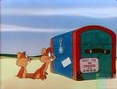 Two Gophers From Texas