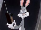 Haredevil Hare