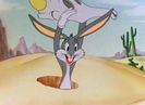 The Wacky Wabbit